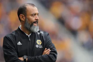 124 153831 wolves coach hates cats 700x400