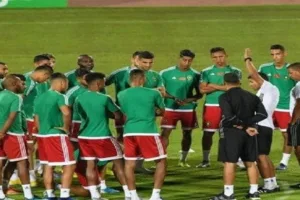 42d66c88e73c2d0d88eee847dc163de5