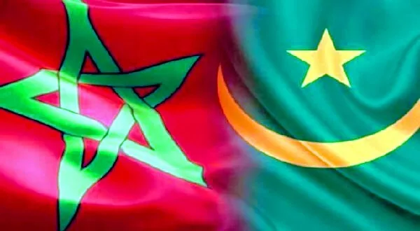 2e0c482017565.resized 600x3702 1