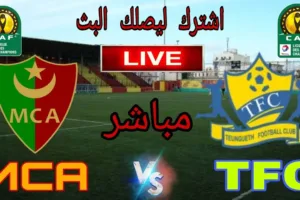 بث مباشر | مشاهدة مباراة مولودية الجزائر وتونغيت في دوري أبطال أفريقيا