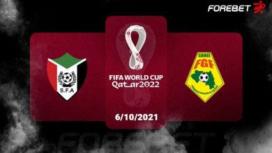 ملخص مباراة السودان وغينيا في تصفيات كأس العالم