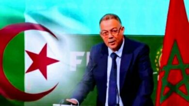 IMG 11082022 143540 1300 x 800 pixel