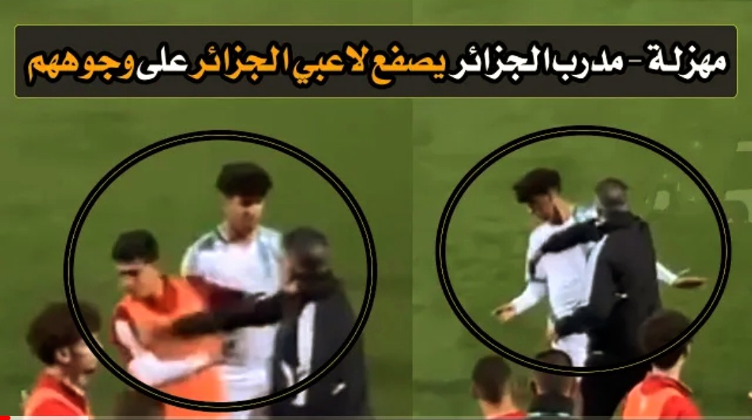 فيديو فضيحة من العيار الثقيل مدرب المنتخب الجزائري يصفع لاعبيه على المباشر لن تصدق ما وقع