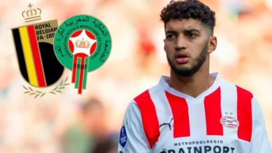 صيباري يغيب عن إياب دورتموند ايندهوفن في دوري الأبطال