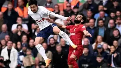 مسودة تلقائية