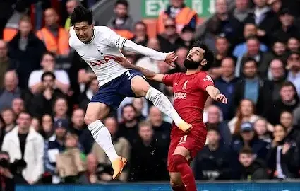 مسودة تلقائية