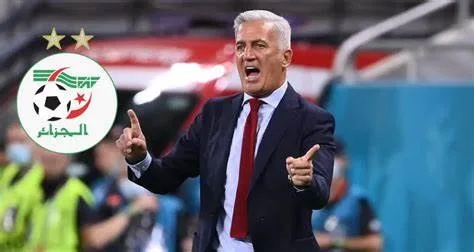 لماذا رفض بيتكوفيتش العودة للجزائر بعد قرعة كأس أمم إفريقيا 2025