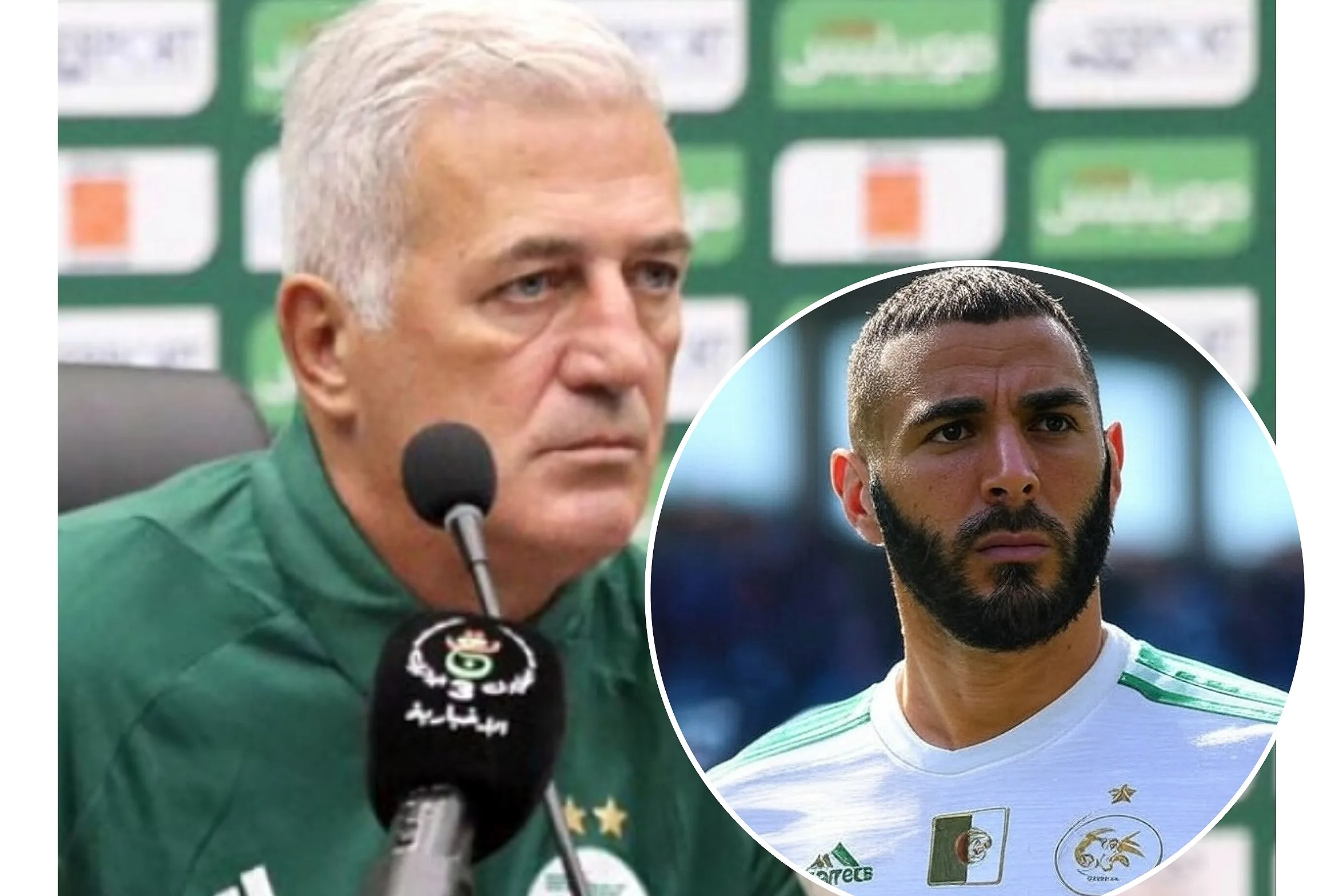 مدرب الجزائر بيتكوفيتش يحسم الجدل ويكشف حقيقة إستدعاء كريم بنزيما للمنتخب
