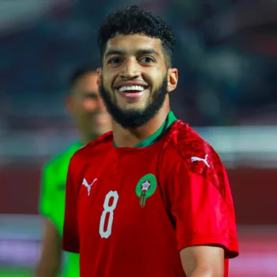 إسماعيل الصيباري يسجل هدف التعادل ضد النيجر