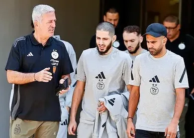 مسودة تلقائية