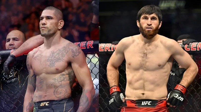 بث مباشر نزال ماغوميد أنكالاييف وأليكس بيريرا في UFC 313