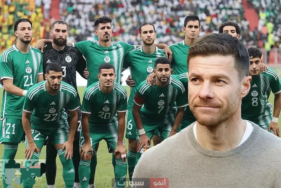 تشافي ألونسو يضع عينه على نجم المنتخب الجزائري لتعزيز كتيبة ريال مدريد