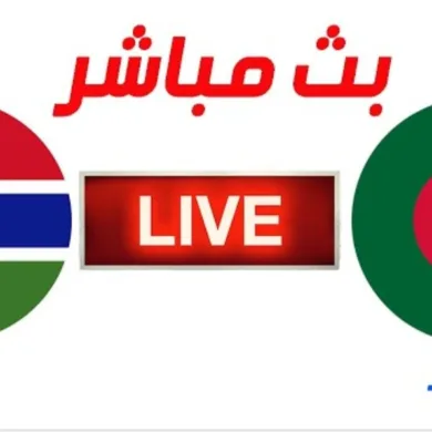 مشاهدة مباراة الجزائر وغامبيا بث مباشر في تصفيات كأس إفريقيا للمحليين