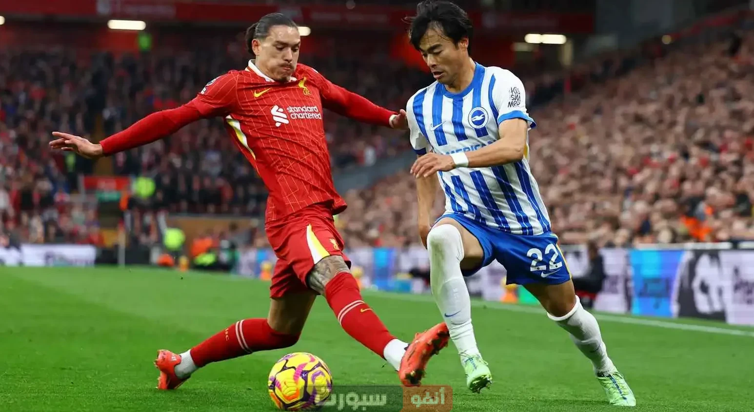 القنوات الناقلة لمباراة ليفربول اليوم ضد برايتون في الدوري الإنجليزي الممتاز