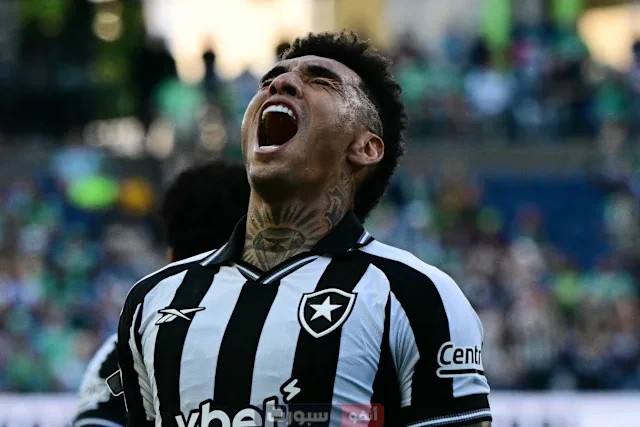 بوتافوغو يتأهل إلى الدور القادم بعد الفوز على باريس سان جيرمان بهدف يتيم