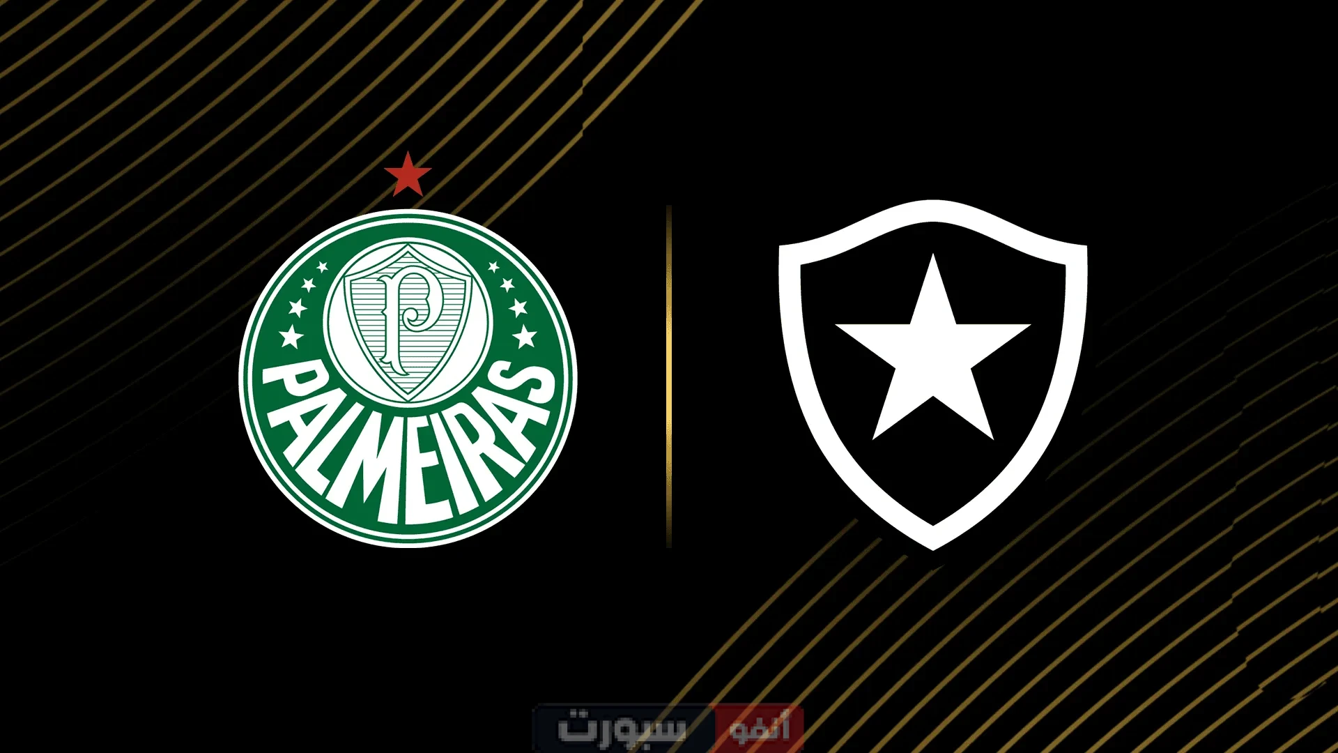 القنوات الناقلة لمباراة بالميراس اليوم ضد بوتافوجو في كأس العالم للأندية 2025