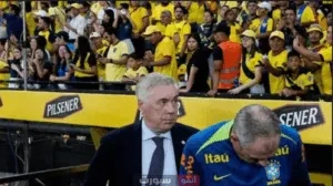 البرازيل تحسم تأهلها إلى نهائيات كأس العالم