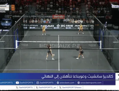 النهائي ينتظر الثنائي سانشيث وغويناغا في بادل بوردو