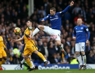 توقيت مباراة إيفرتون وبرايتون والقنوات الناقلة في الدوري الإنجليزي الممتاز