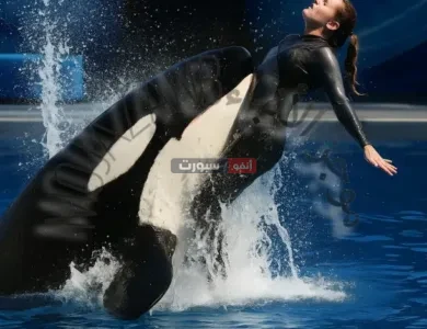 الحقيقة الكاملة وراء فيديو هجوم حوت الأوركا على جيسيكا رادكليف القصة التي هزت مواقع التواصل الإجتماعي