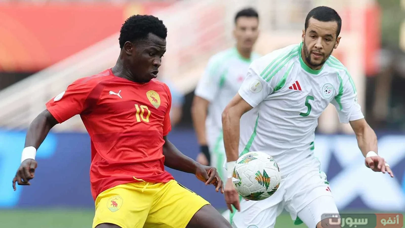  ترتيب مجموعة الجزائر في تصفيات كأس العالم 2026 إفريقيا وحسابات التأهل بعد التعادل مع غينيا