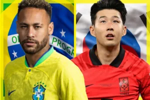 brazil vs. south korea