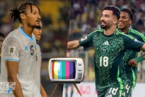 img 20251009 015130 (1200 x 800 pixel)