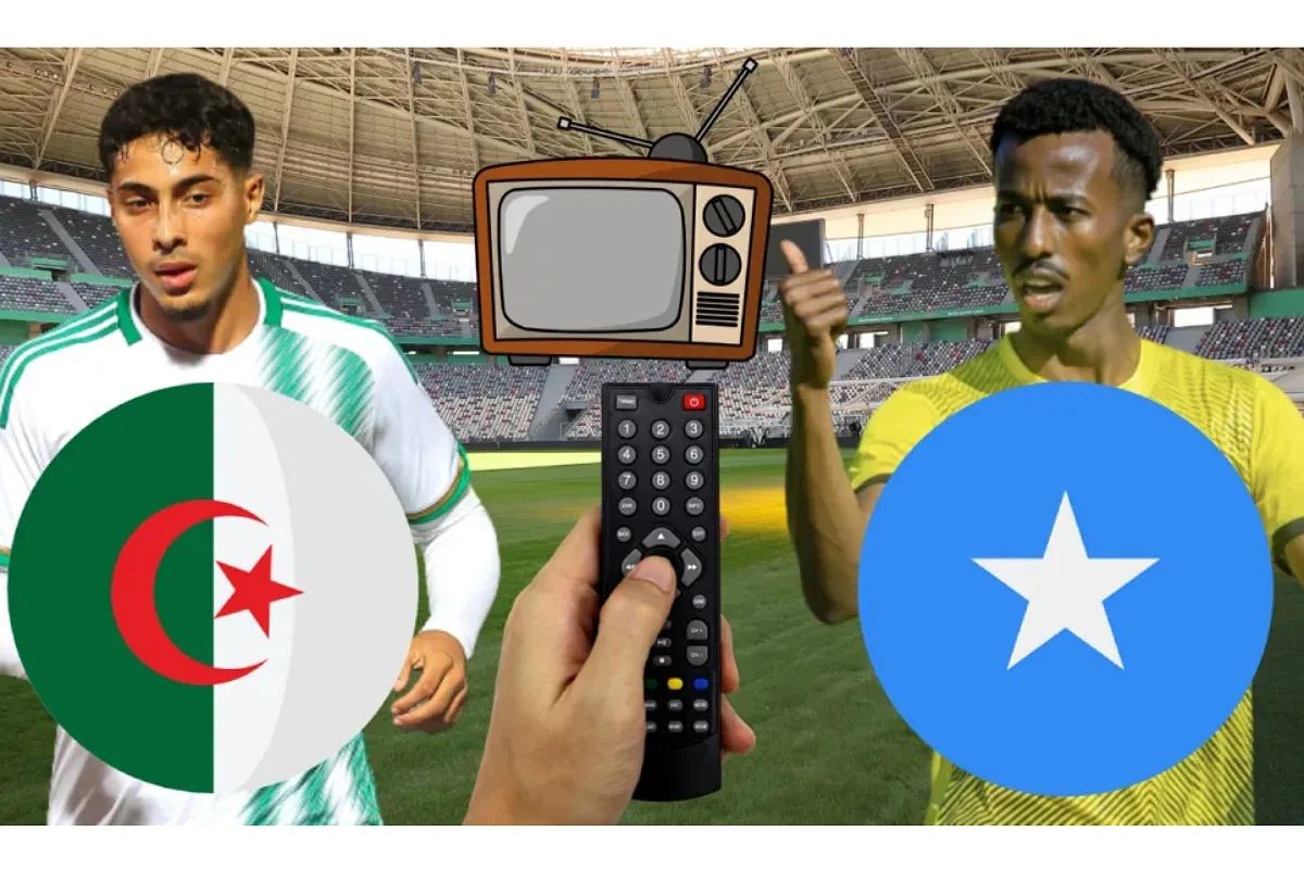 img 20251009 015207 (1200 x 800 pixel)