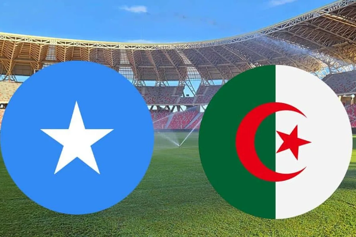 img 20251009 163939 (1200 x 800 pixel)