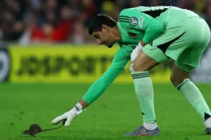 img 20251013 225642 (1200 x 800 pixel)