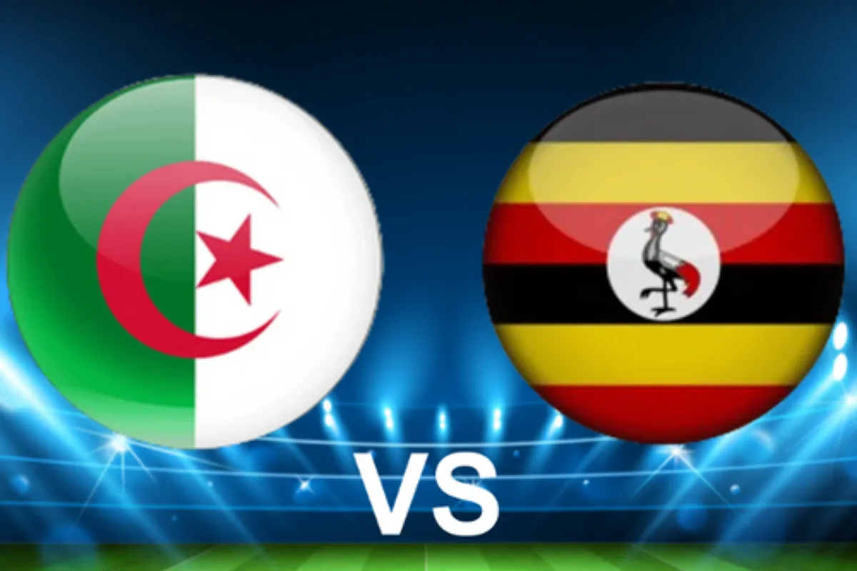 img 20251014 033908 (1200 x 800 pixel)