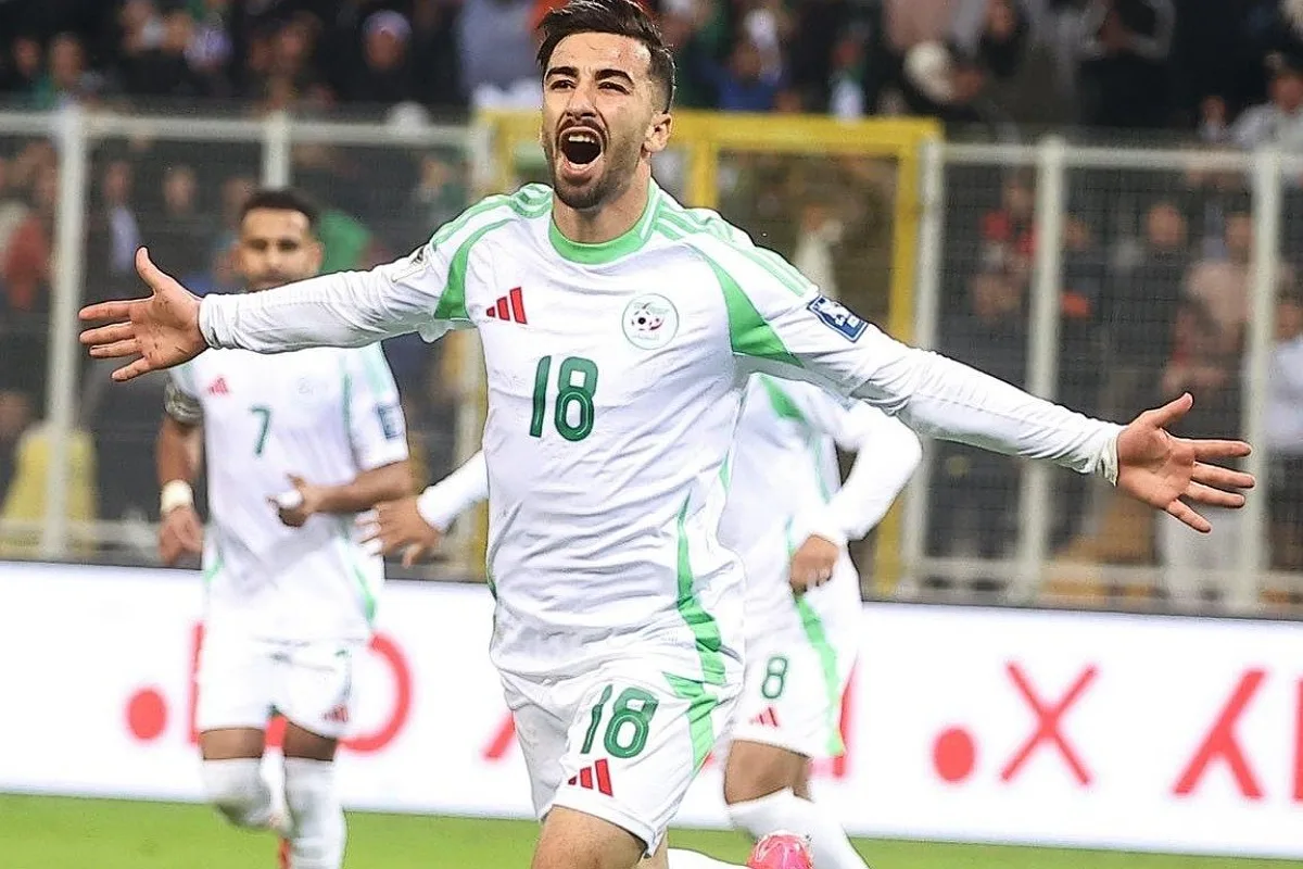 img 20251014 221412 (1200 x 800 pixel)