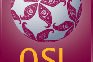 دوري نجوم قطر