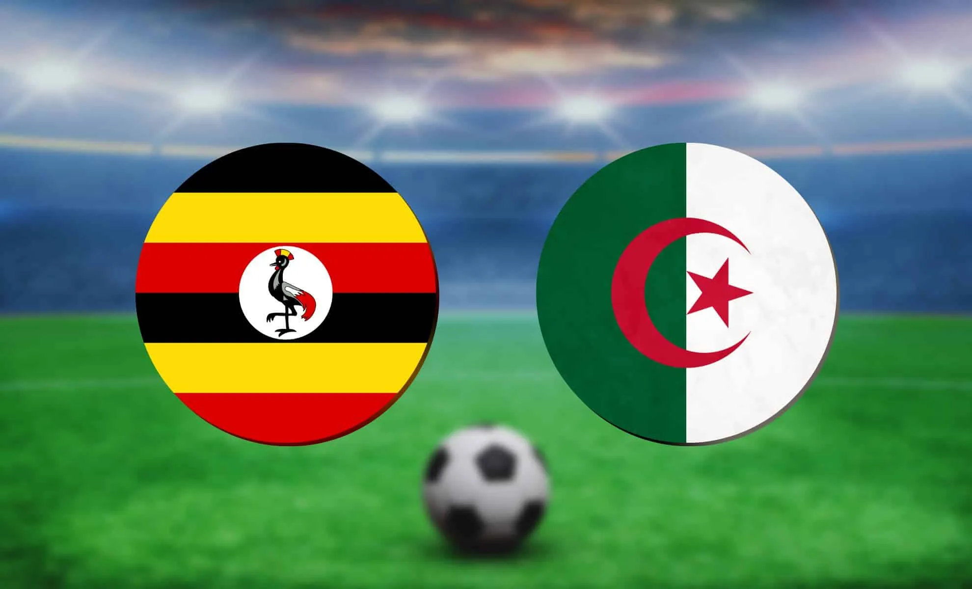 xr:d:dafni0lmsuu:742,j:7515775704556643112,t:23061814