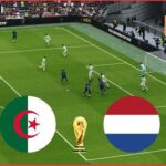 بث مباشر مباراة الجزائر وهولندا الودية استعدادًا لكأس العالم 2026