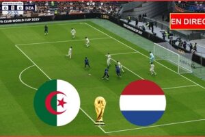 بث مباشر مباراة الجزائر وهولندا الودية استعدادًا لكأس العالم 2026