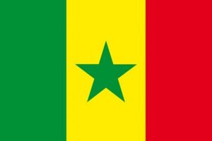 رسميا الاتحاد الإفريقي يستبعد منتخب السنغال من منافسات كأس إفريقيا بالمغرب بعد أحداث الشغب