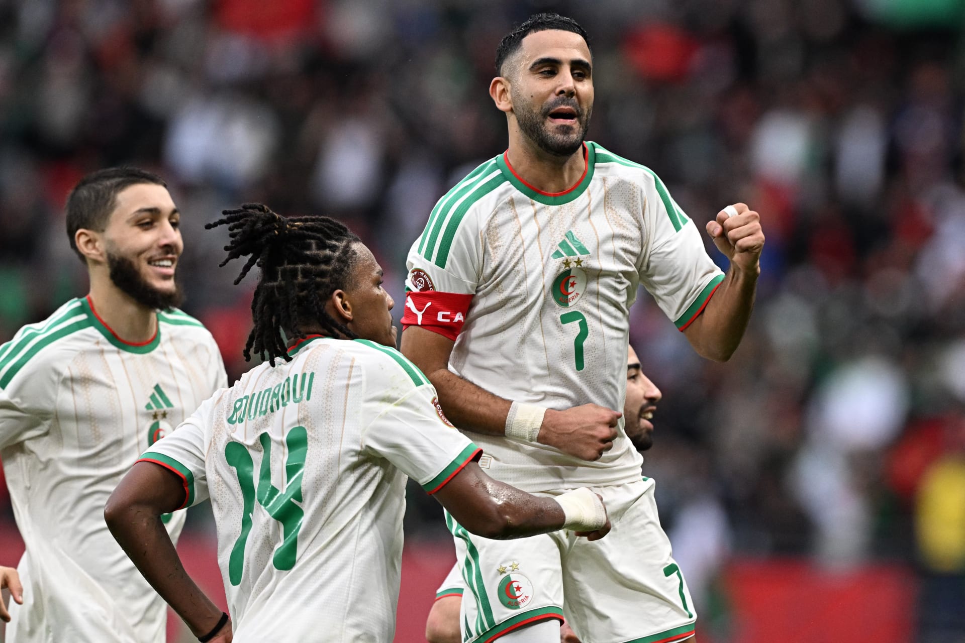 خليفة بيتكوفيتش يجهز قائمة منتخب الجزائر لتصفيات كأس أمم إفريقيا 2027
